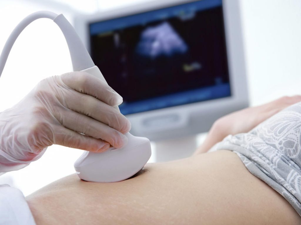 detail scan pregnancy